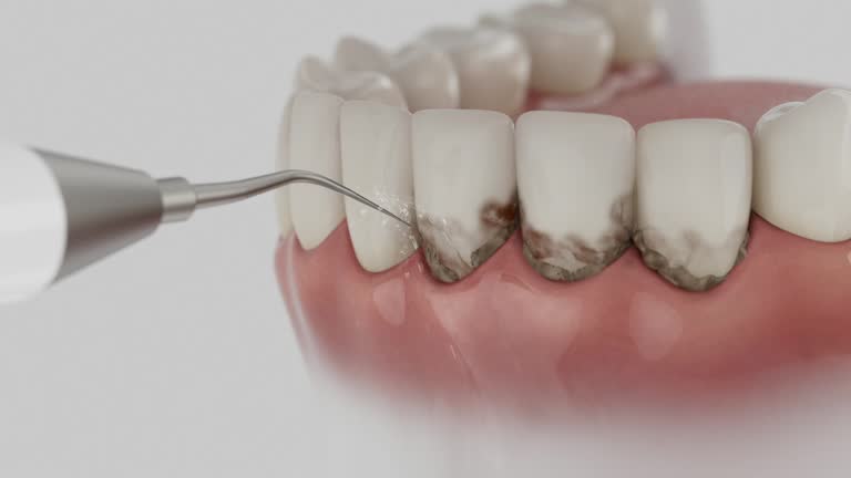 Reliable Dental contractor in Payne, OH by Dentist Open Now
